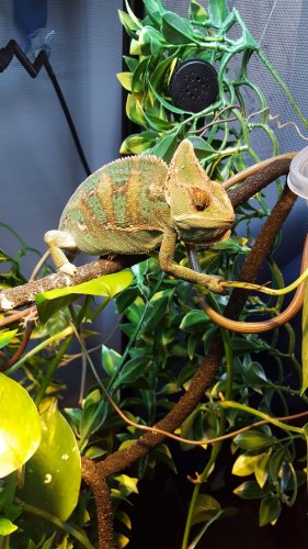 20160318_133021.jpg