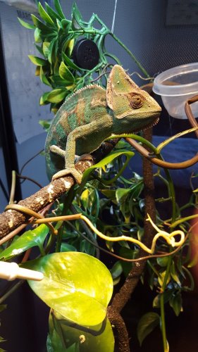20160318_132950.jpg