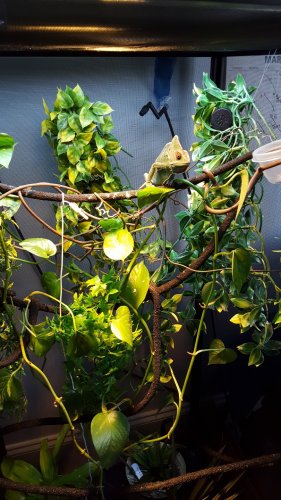 20160318_133002.jpg