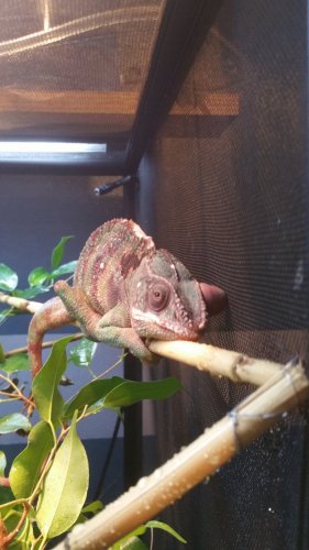 20160318_172530.jpg