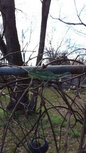 20160313_163952_1.jpg