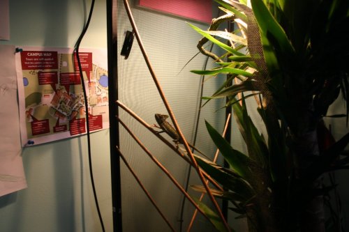 IMG_3700.JPG IMG_3700.JPG