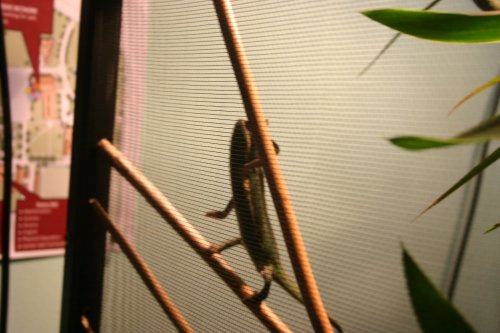IMG_3702.JPG IMG_3702.JPG
