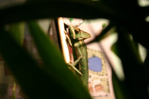 IMG_3703.JPG IMG_3703.JPG