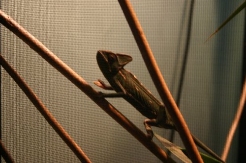 IMG_3699.JPG IMG_3699.JPG