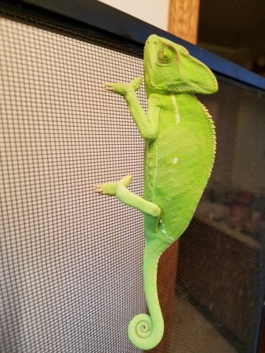 20160320_184741.jpg