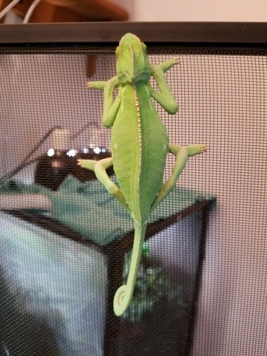 20160320_184734.jpg