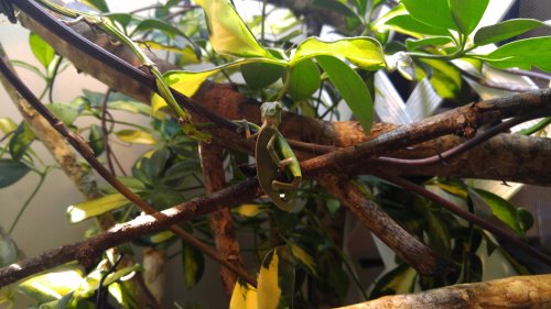 20160322_093244.jpg