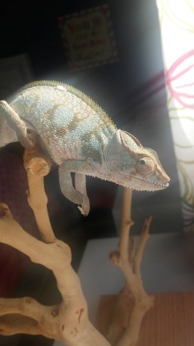 20160320_155823.jpg