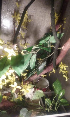 20160325_203127.jpg