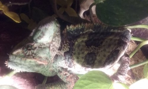 20160325_203212.jpg