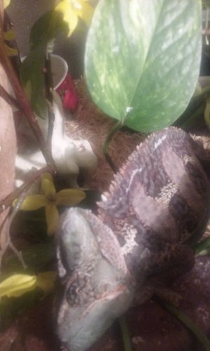 20160325_223953.jpg