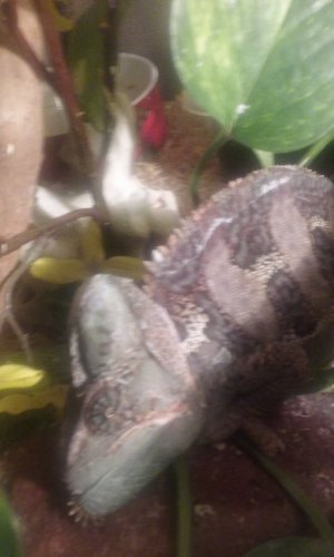 20160325_223957.jpg