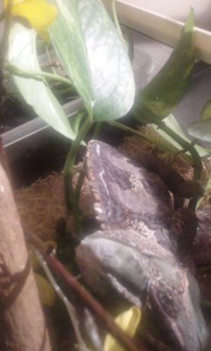 20160325_224002.jpg