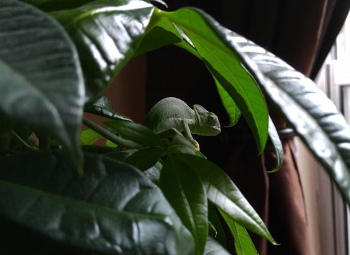 20160325_124300.jpg