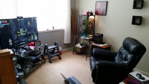 20160326_152916.jpg