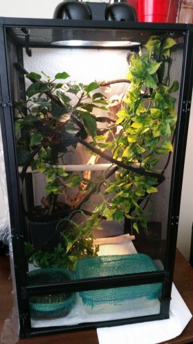 20160326_152825.jpg