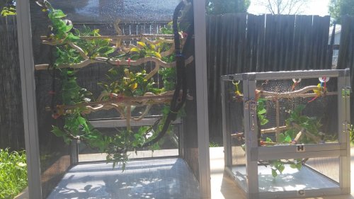 20160326_132552.jpg