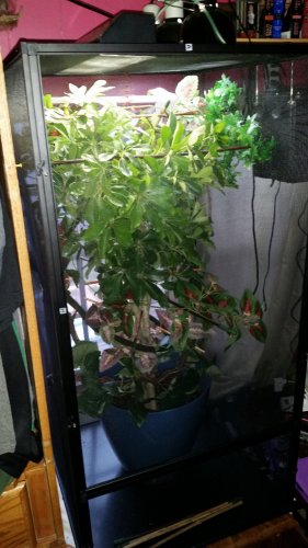 20160327_192751.jpg