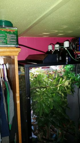 20160327_192808.jpg