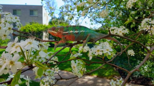 2016-03-28 12.23.47.jpg