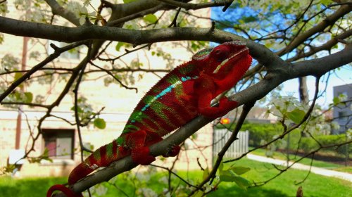 2016-03-28 12.24.25.jpg