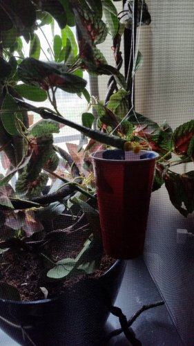 20160330_141940.jpg