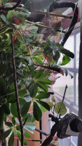 20160330_142033.jpg
