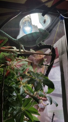 20160330_142047.jpg