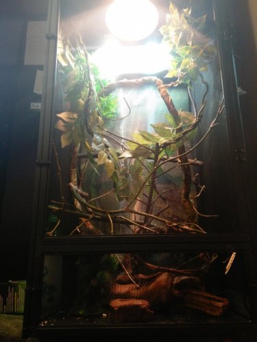 IMG_20160330_1600561_rewind (1).jpg