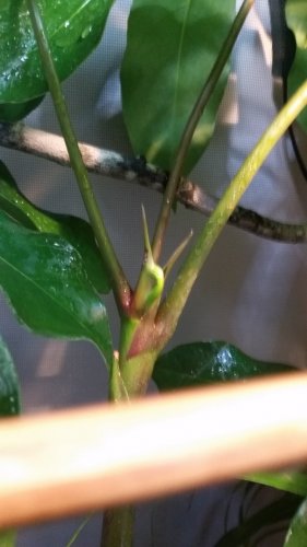 20160329_171819.jpg