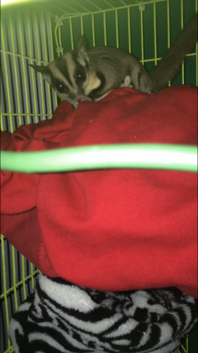 image.png