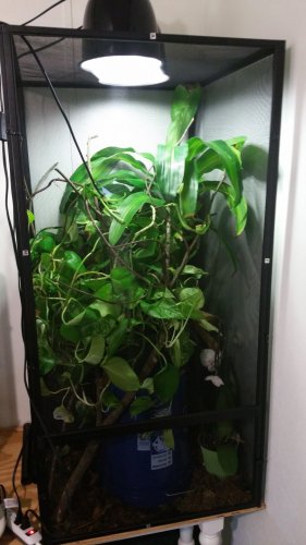 2016-04-01 13.58.09.jpg