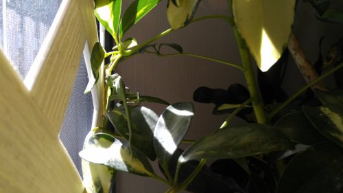 20160401_104325.jpg