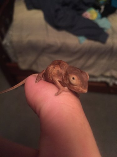 2016-04-06 20.58.13.jpg