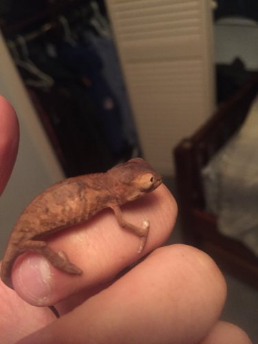 2016-04-06 20.58.34.jpg