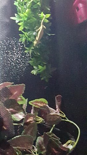 20160410_223707.jpg