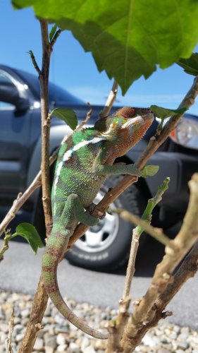 20160417_151628.jpg