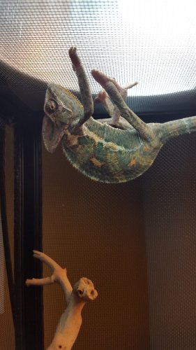 20160417_094346.jpg