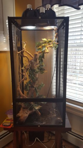 20160419_172726.jpg