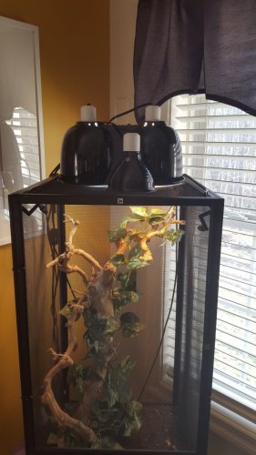 20160419_172645.jpg