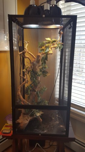 20160419_172639.jpg
