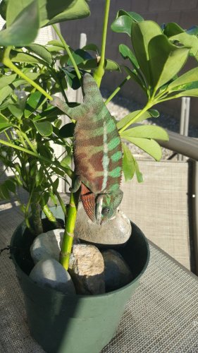 20160418_175526.jpg