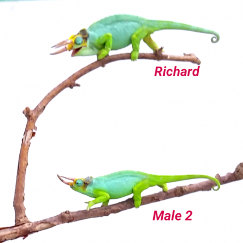 2016-04-25 17.42.45.png