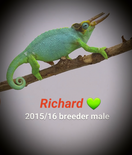 2016-04-25 17.33.19.png