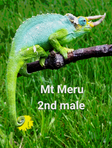 2016-04-25 17.40.02.png