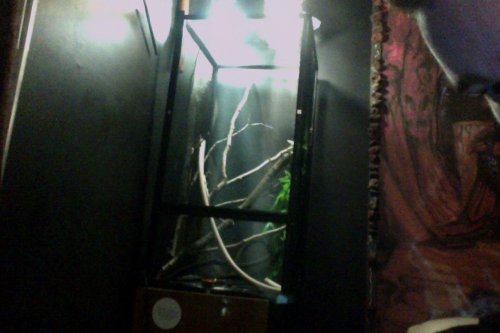 Photo on 4-26-16 at 6.38 PM.jpg