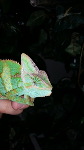 20160429_213152.jpg
