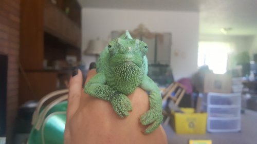 20160512_132606.jpg