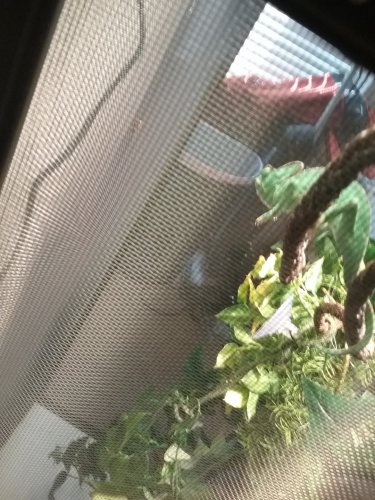 20160514_180508.jpg